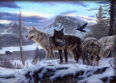 Couple Wolf Animal Landscape Diamond Painting (Option: Style21)
